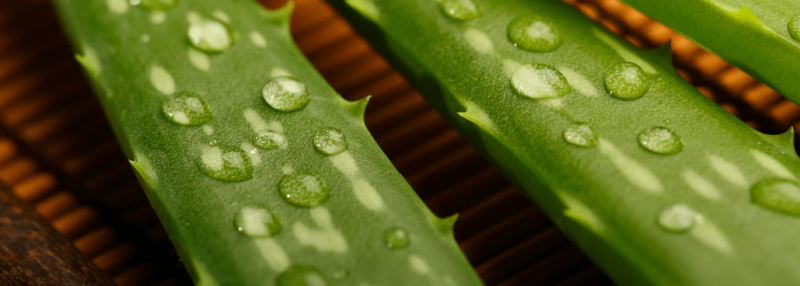 aloevera-flat